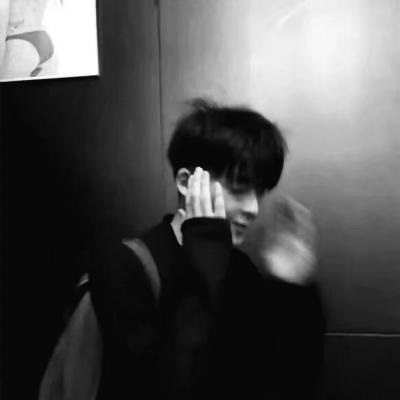 兽设动态姿势参考福瑞交流群